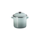 Stockpot with Phenolic Knob